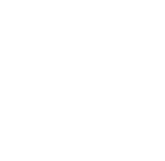 Tigre Branco